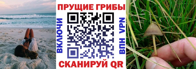 Галлюциногенные грибы мицелий  ОМГ ОМГ рабочий сайт  Топки 
